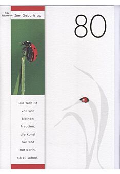 DIN A4 Maxikarte XXL große Geburtstagskarte 80 (Naturpapier + Goldfolie): Zum 80 Geburtstag