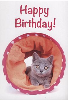 Geburtstagspostkarte Katze Tier: "Happy Birthday" 