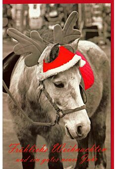 Weihnachtskarte Pferd Fröhliche Weihnachten