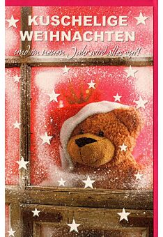 Weihnachtskarte Glitzer Teddy Sterne Fenster