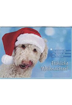 Weihnachtskarte Hunde -Tiermotiv: Die schönste Art des Wartens ist die Vorfreude