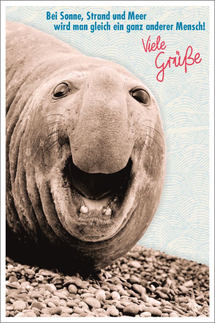 Postkarte Spruch witzig Bei Sonne, Meer und Strand wird man gleich ein
