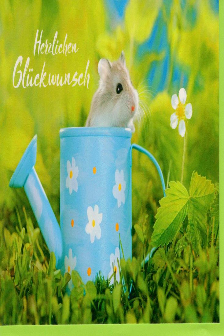 Glückwunschkarte Hamster in Gießkanne