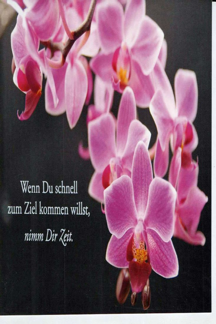 Karte Spruch schwarz mit pinken Orchideen