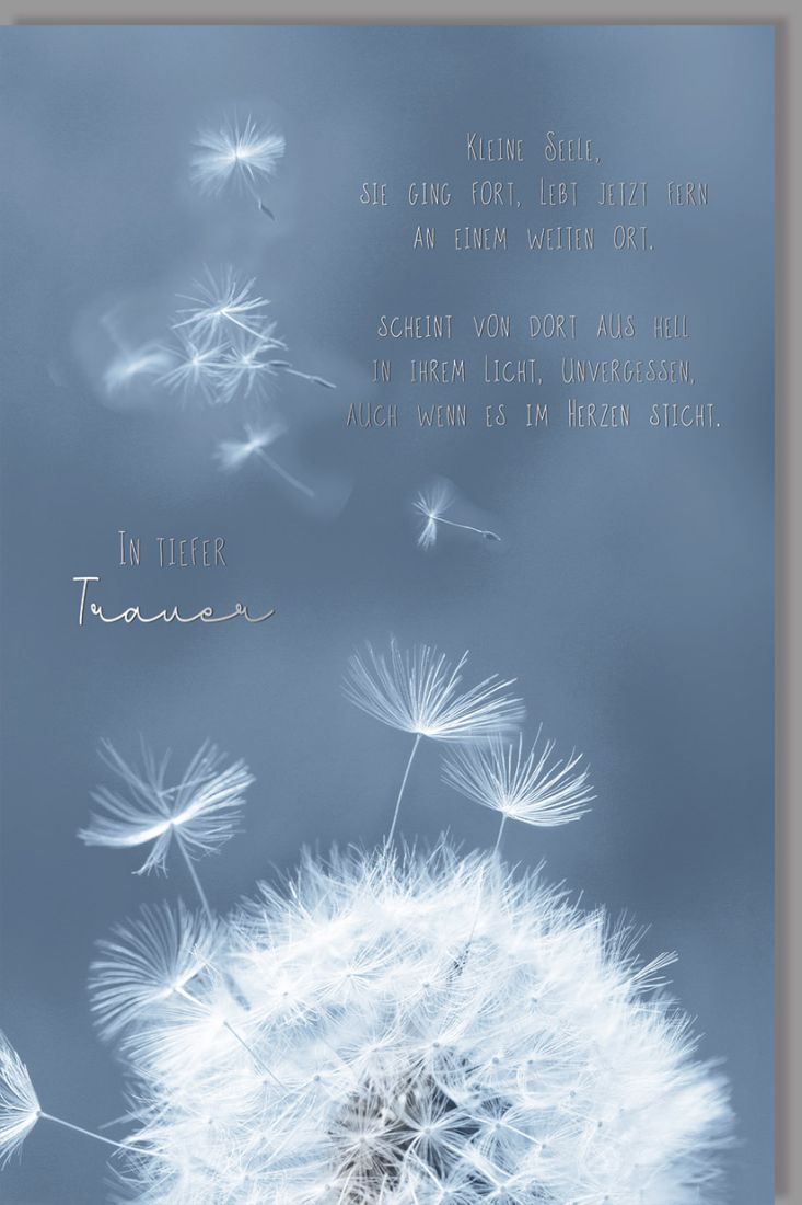 Trauerkarte Sternenkind Pusteblume, mit Silberfolie Spruch Kleine Seele