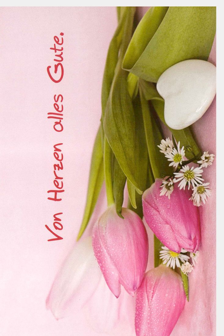 Grußkarten drei Tulpen pink Spruch Von Herzen alles Gute