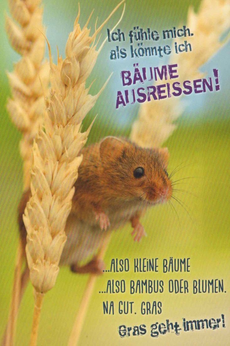 Postkarte lustig Spruch Gras geht immer