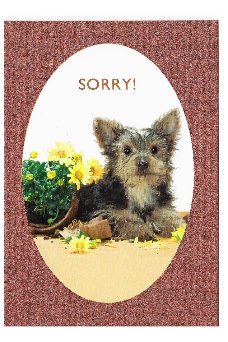 Entschuldigungskarten Entschuldigungskarte Hund Sorry