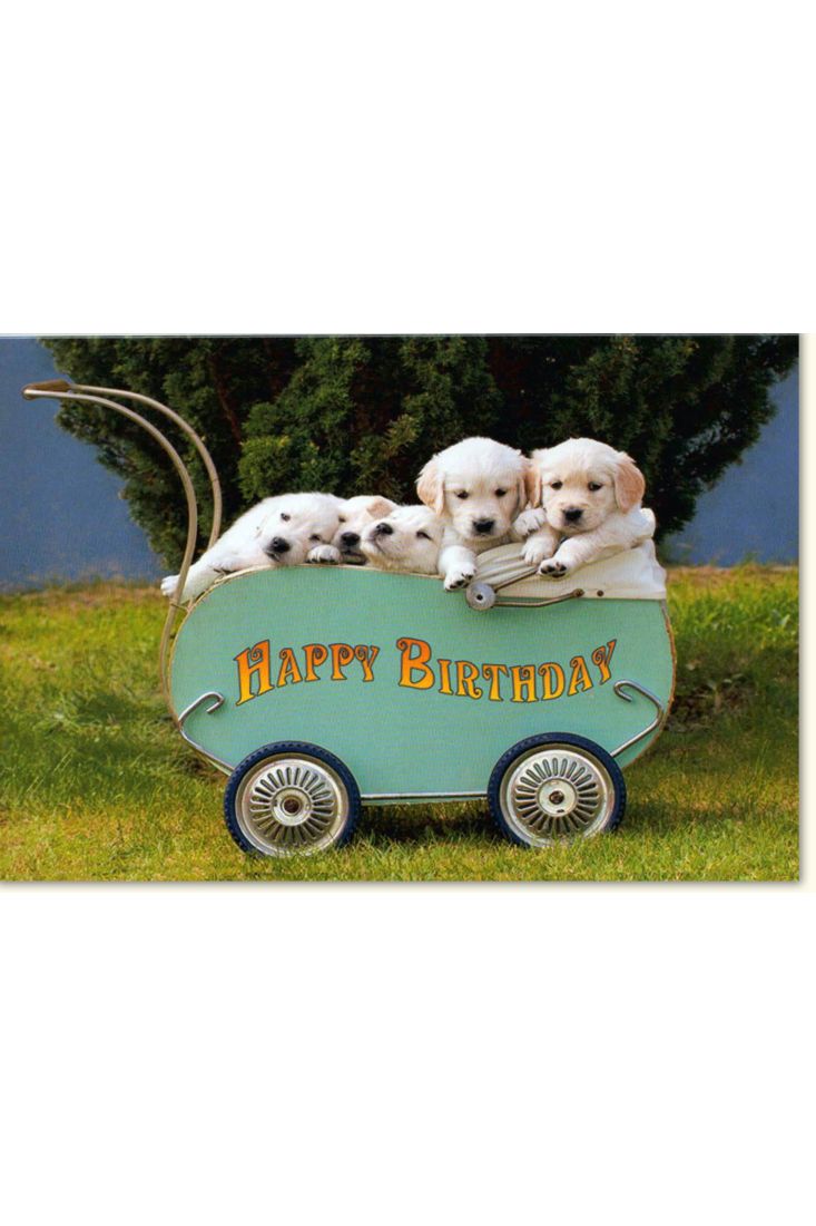 Glückwunschkarte Geburtstag Hundewelpen Bollerwagen weiß