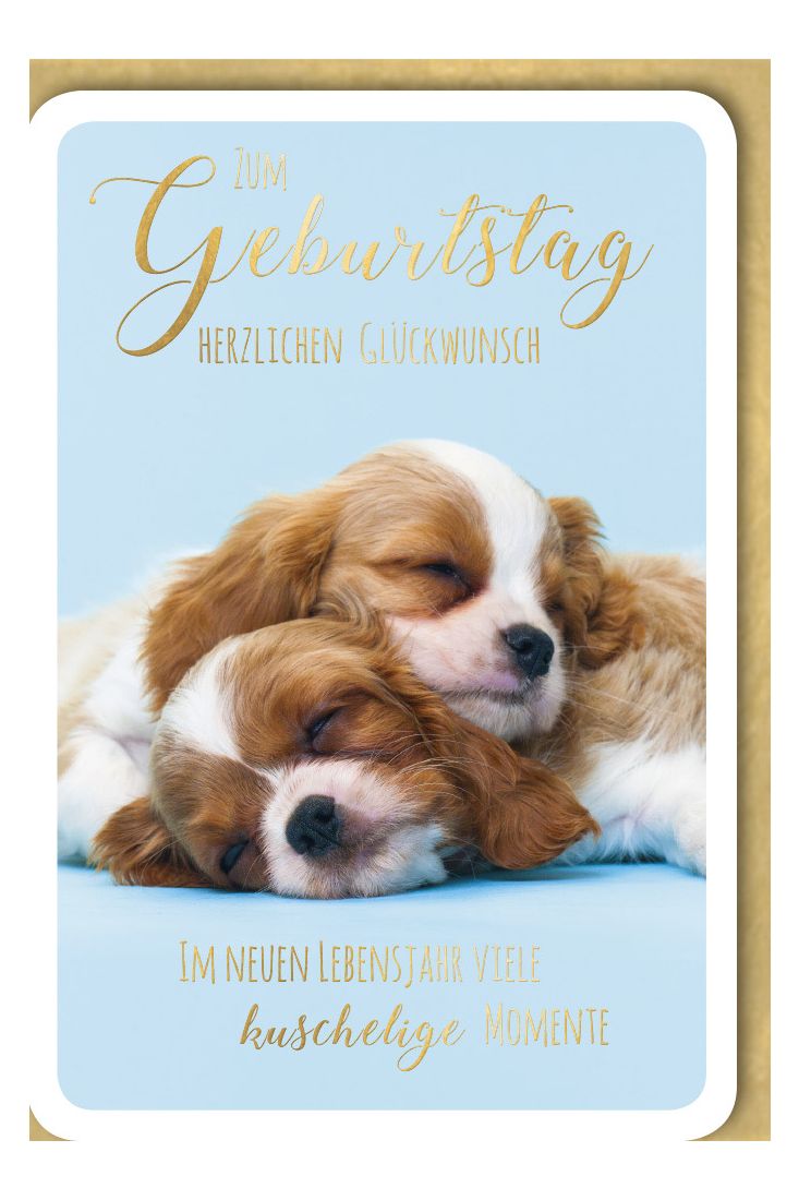 Geburtstagskarte Spruch Zwei schlafende Welpen