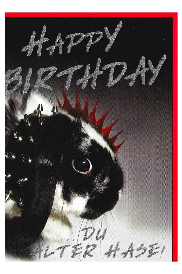 Geburtstagskarten lustig;Glückwunschkarten Geburtstag Geburtstagskarte Vogel lustig alter Hase