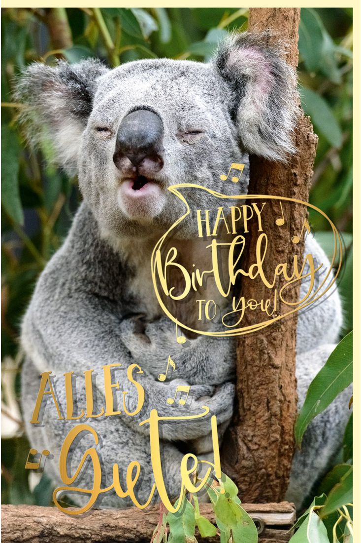 Geburtstagskarte witzig mit Goldfolie Koala