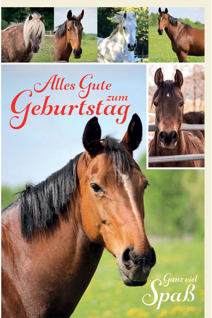 Glückwunschkarte Geburtstag Pferde auf Weide