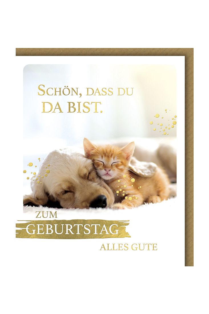 Glückwunschkarte Geburtstag Snapshot Katze Hund Schön, dass du da bist