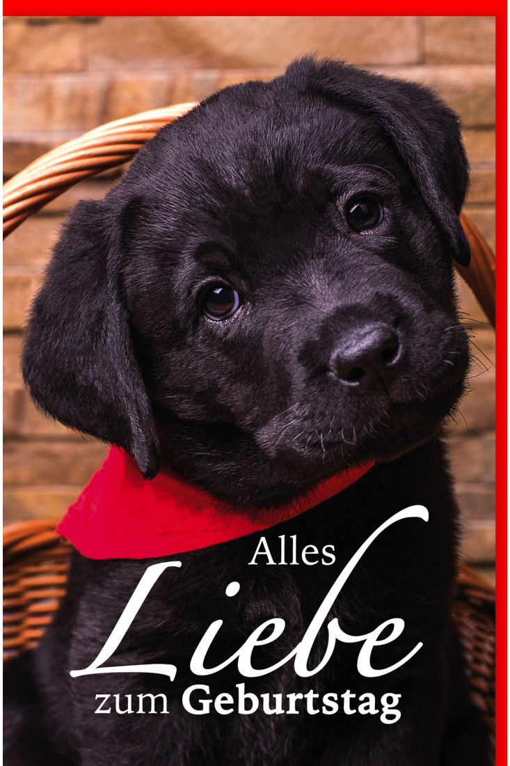 Glückwunschkarte Geburtstag Schwarzer Labradorwelpe