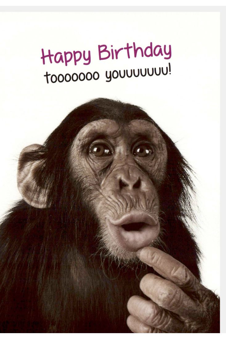 Geburtstagskarte lustig Spruch Happy Birthday tooooooo youuuuuuu