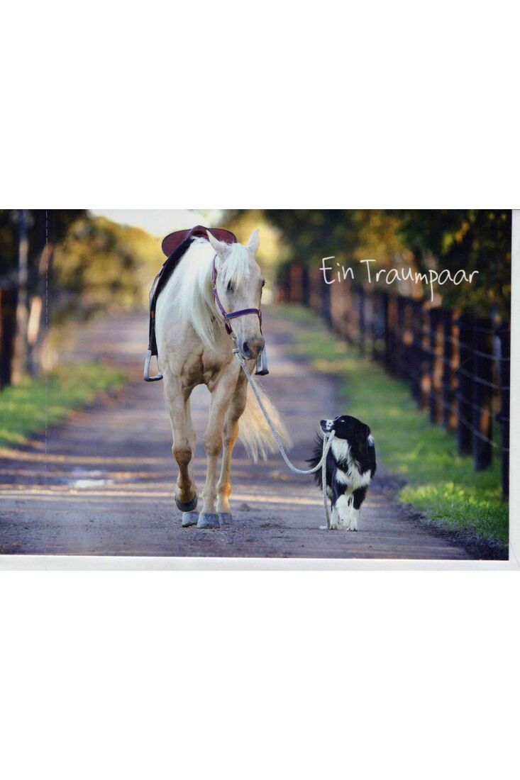 Grußkarte Freund/in: Pferd mit Hund