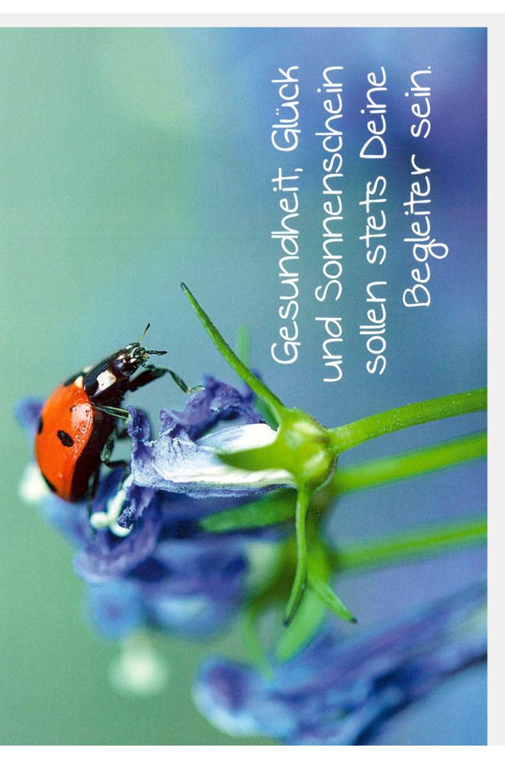 Glückwunschkarte Geburtstag Spruch Gesundheit, Glück und Sonnenschein