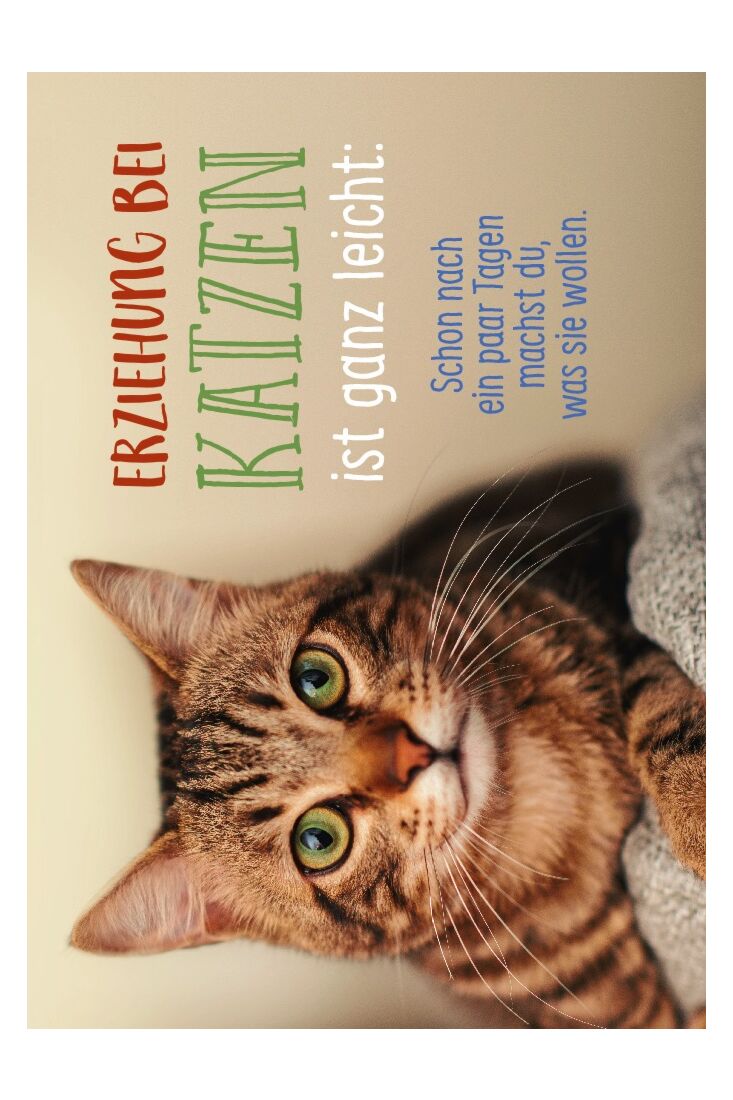 Postkarte Lebensweisheit Spruch Erziehung bei Katzen ist ganz leicht