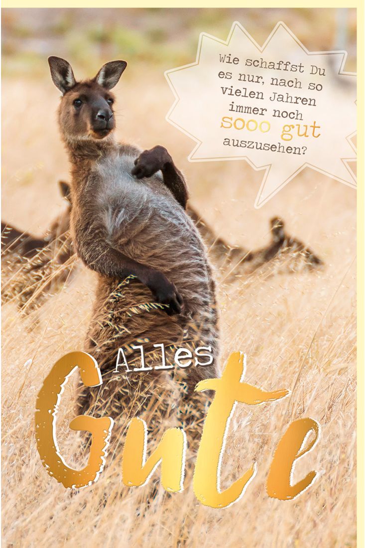 Geburtstagskarte Känguru, mit Goldfolie