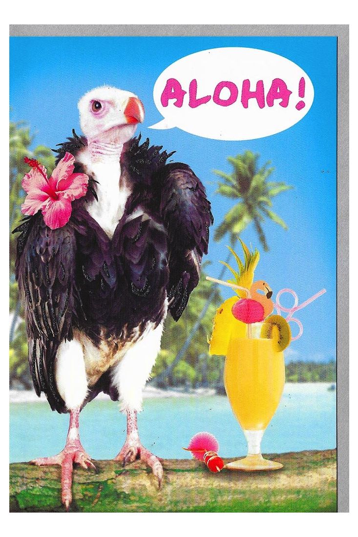 Geburtstagskarten lustig Geburtstagskarte witzig Aloha