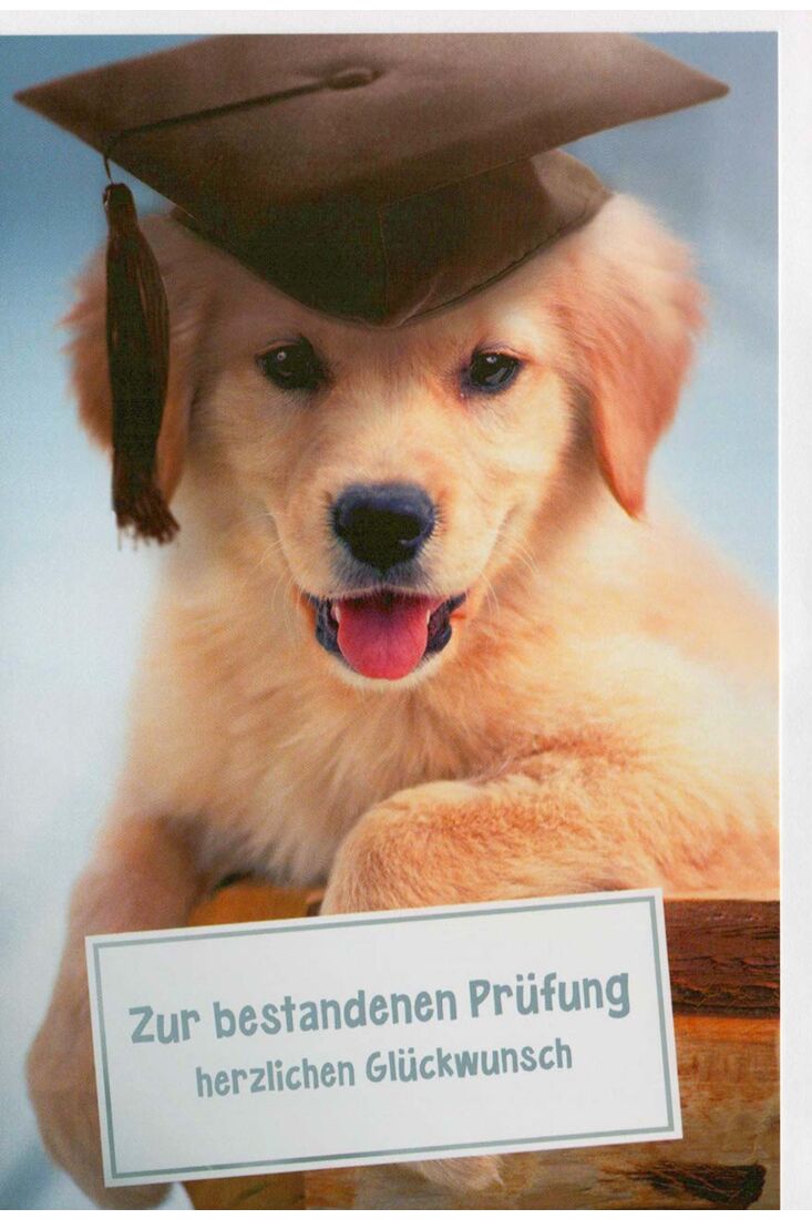 Glückwunschkarte Prüfung mit Hundemotiv