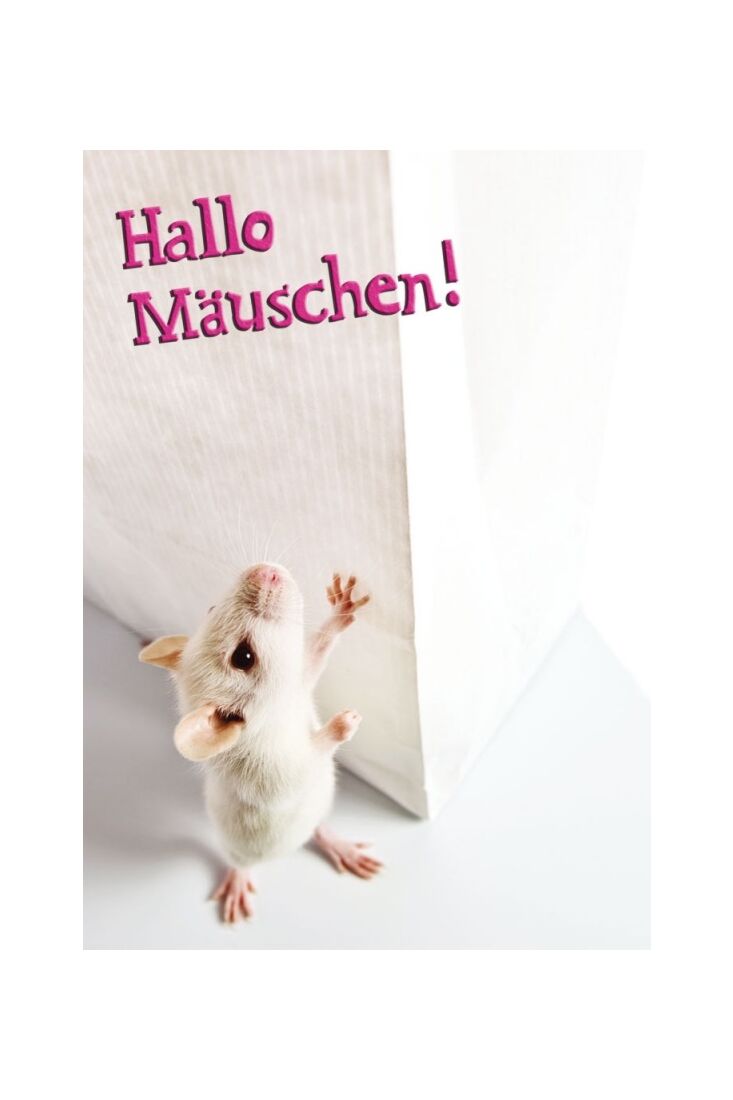 Postkarte Tiere: Hallo Mäuschen!