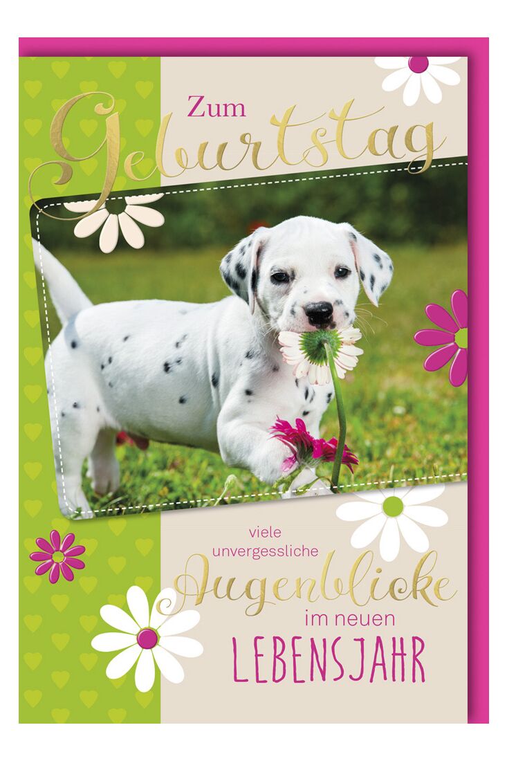 Geburtstagskarte Hundewelpen Spruch Augenblicke