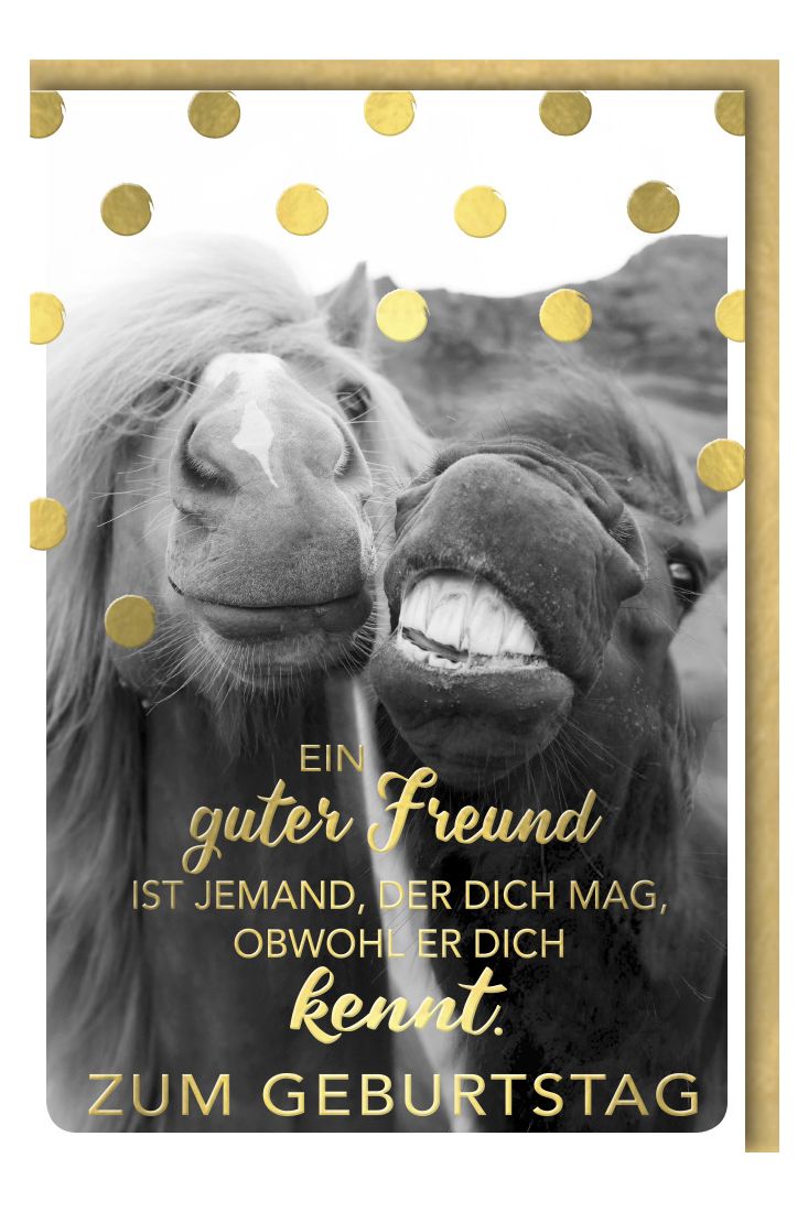 Geburtstagskarte lustig Spruch zwei Pferde