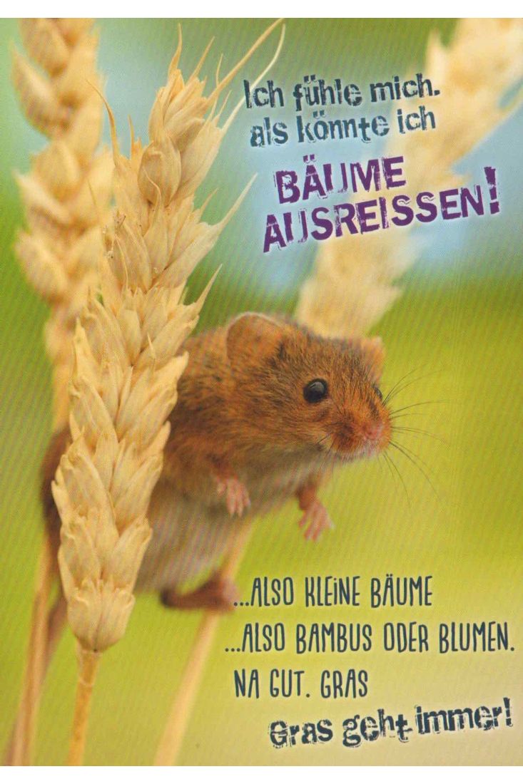 Postkarte lustig Spruch Gras geht immer