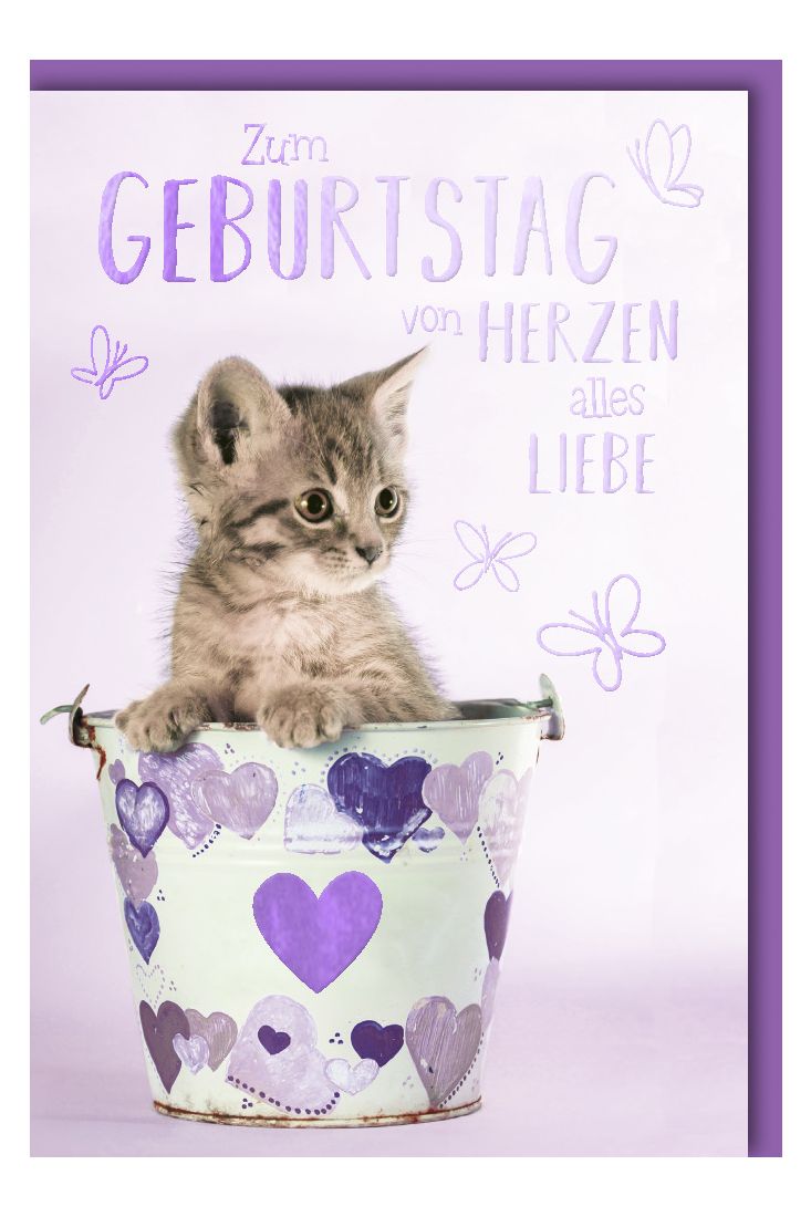 Geburtstagskarte Spruch Kätzchen im Eimer mit Herzen