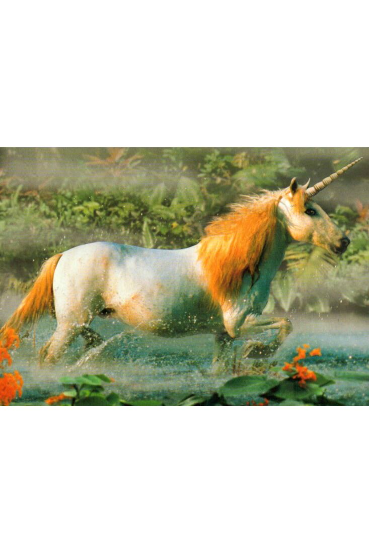 Postkarte blanko: Unicorn-Licorne-Einhorn