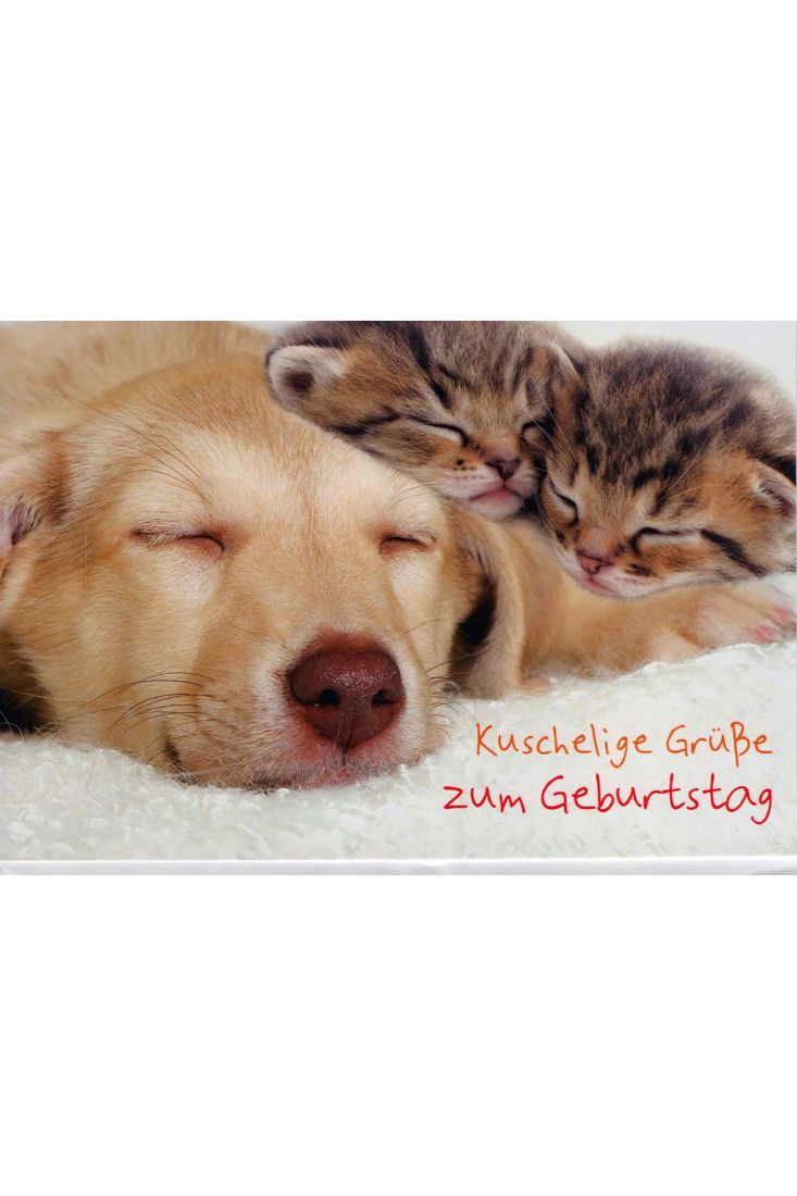Geburtstagskarte Foto: Schlafender Hund mit Kätzchen