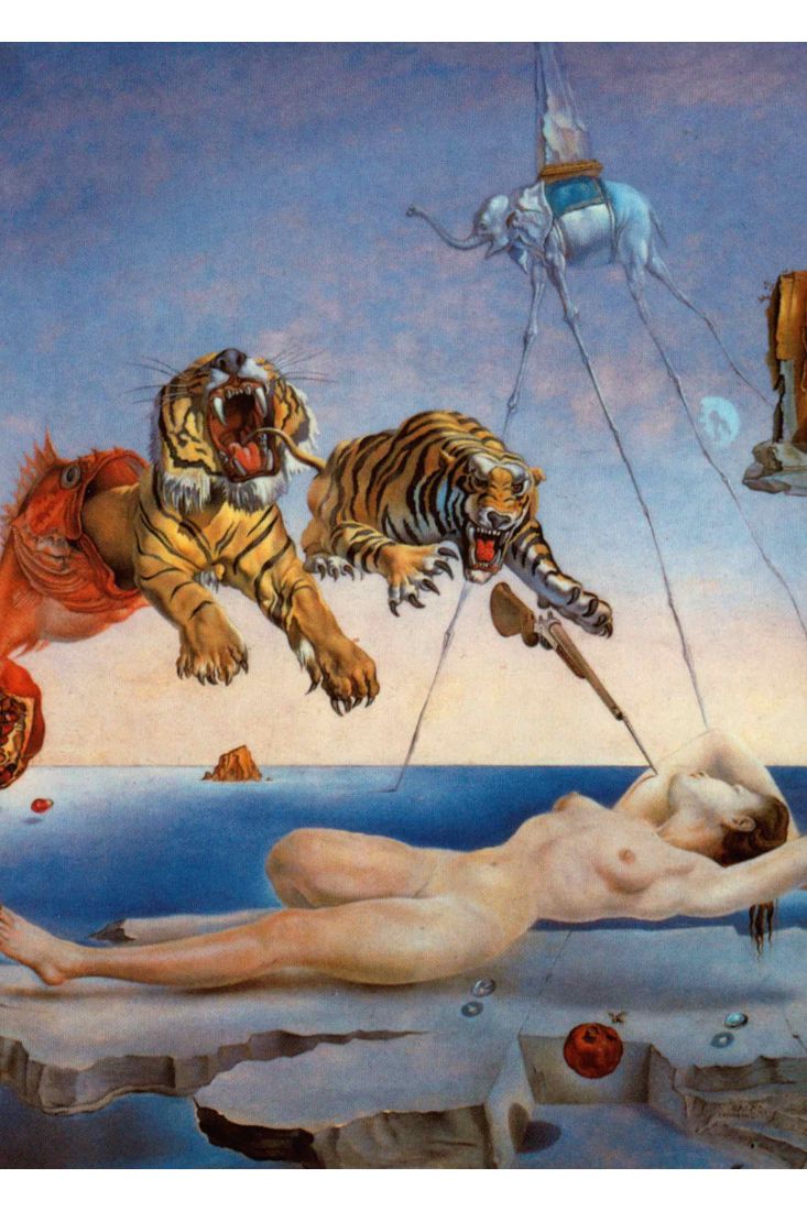 Kunstpostkarte Salvador Dali Dream Caused by the Flight of a Bee a Second Before Awakening