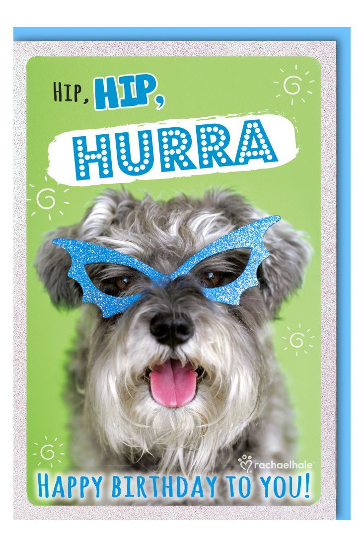 Geburtstagskarte witzig Hund mit blauer Glitzer-Brille