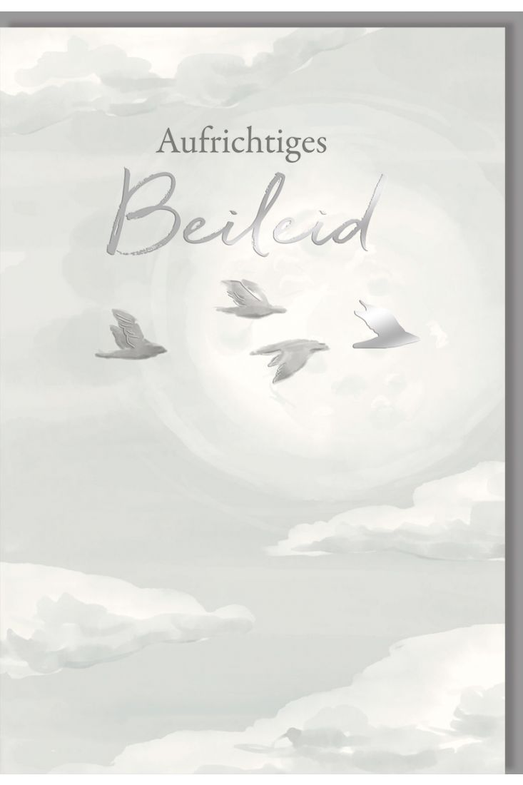 Trauerkarte Beileid Vögel, Wolken, Naturkarton, mit Silberfolie und Blindprägung
