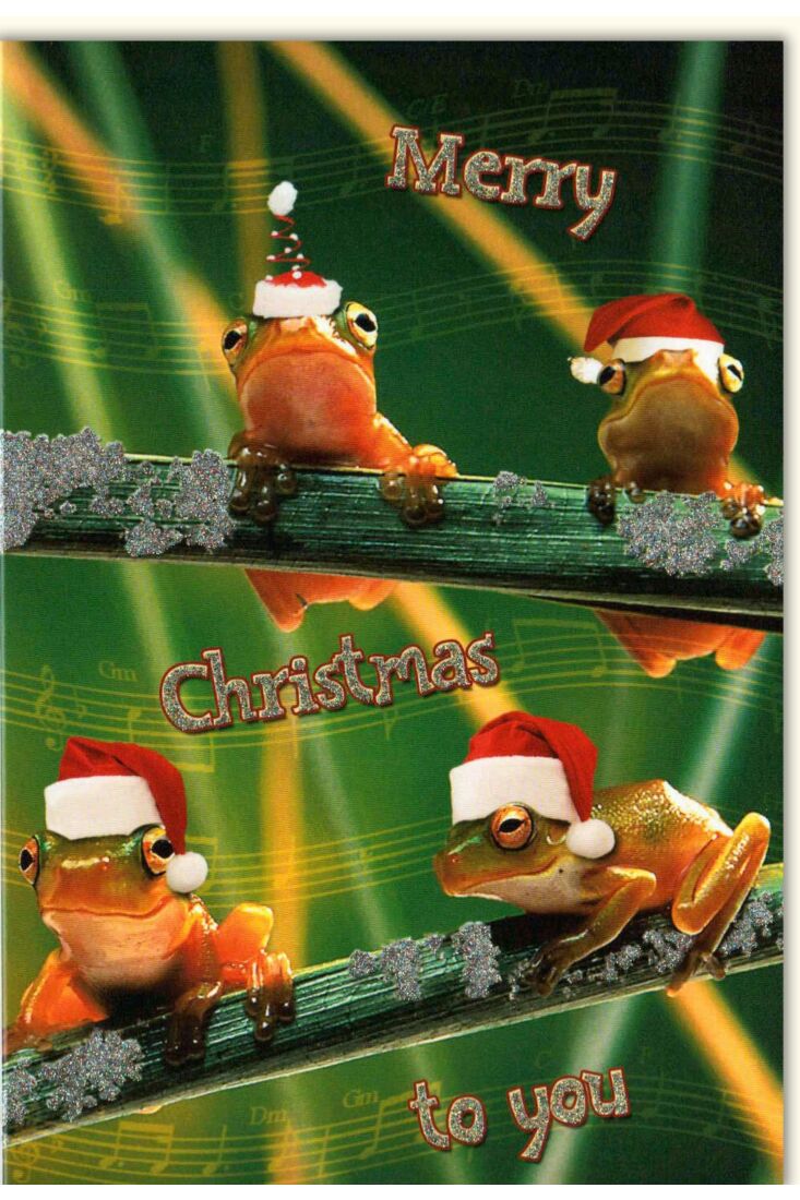 Weihnachtskarte lustig Merry Christmas 4 Frösche
