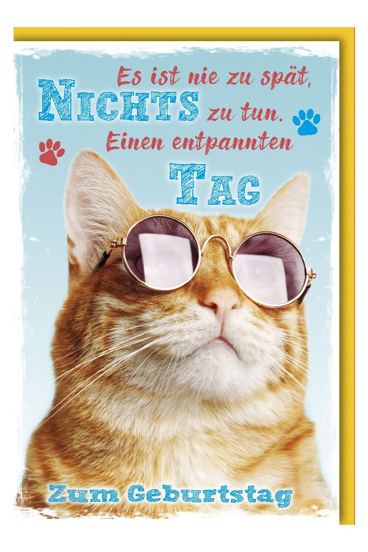 Geburtstagskarte witzig roter Kater mit Sonnenbrille