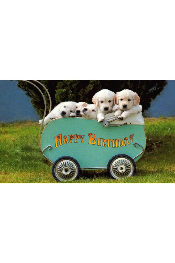 Geburtstagspostkarte Hundewelpen Bollerwagen: Happy Birthday