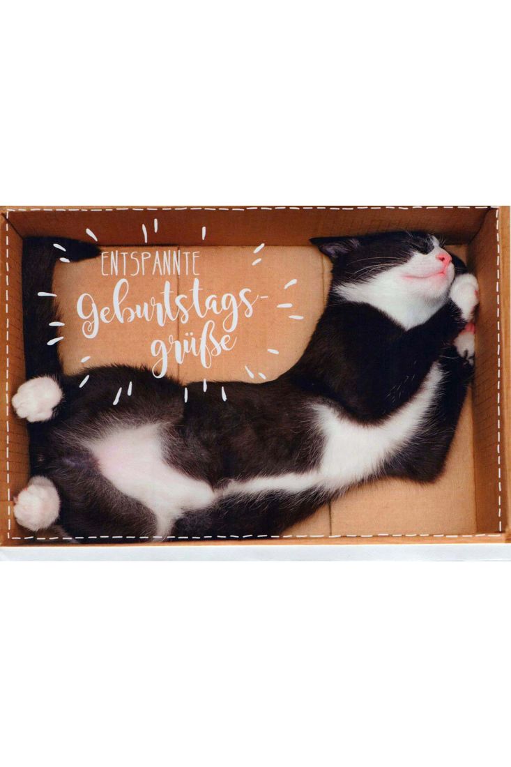 Geburtstagskarte Foto: Katze in Karton