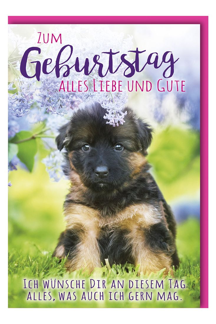 Glückwunschkarte Geburtstag Hund unter Flieder