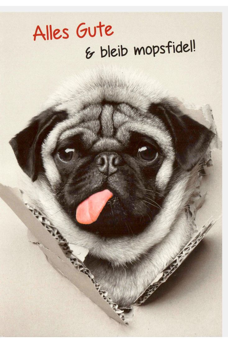 Geburtstagskarte lustig Alles Gute und bleib mopsfidel