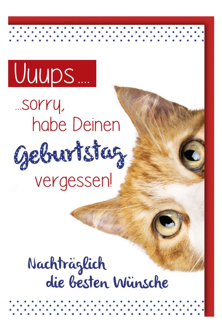 Geburtstagskarte - nachträglich, Katze 