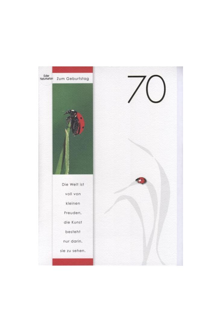 DigitalOase 70 Geburtstag Grußkarte XXL Glückwunschkarte Geburtstagskarten #072
