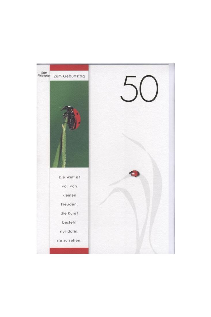 Geburtstag Design XXL Umschlag Verkehrsschild Große Glückwunsch Gruß-Karte 50 