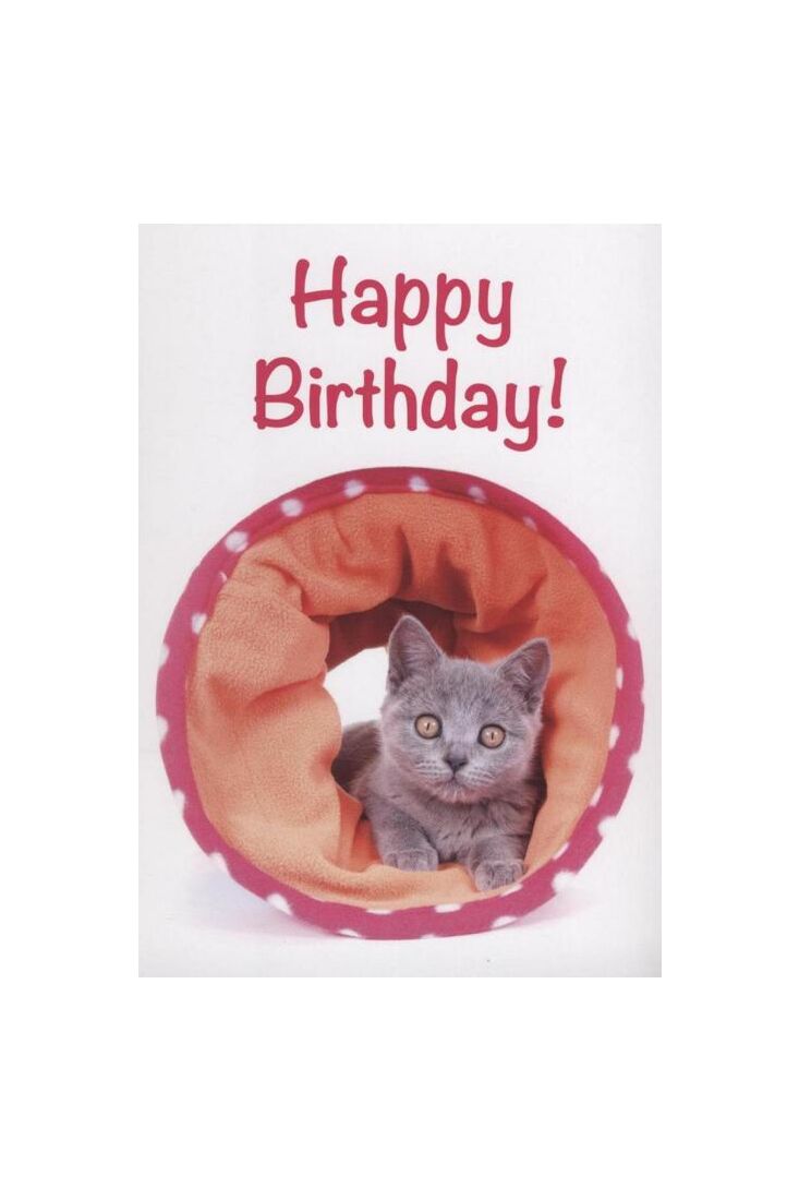 Für frauen mit katzen geburtstagswünsche Geburtstagswünsche Freundinnen: