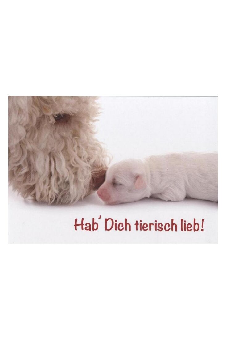 Lustige Tierpostkarte: Hab Dich tierisch lieb