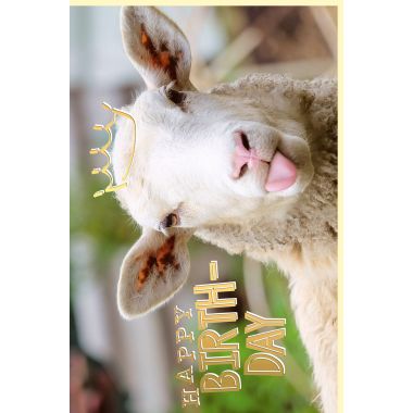 Geburtstagskarte witzig mit Goldfolie Schaf