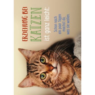 Postkarte Lebensweisheit Spruch Erziehung bei Katzen ist ganz leicht