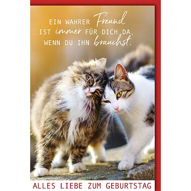 A6 Geburtstagskarte Postkarte Spruchkarte mit Katze Spruch Happy Birthday pk189 